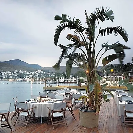 Galen & Bodrum