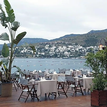 Galen & Bodrum