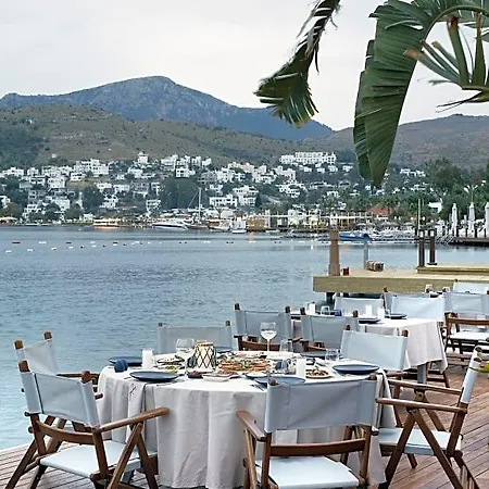 Hotel Galen & 3*