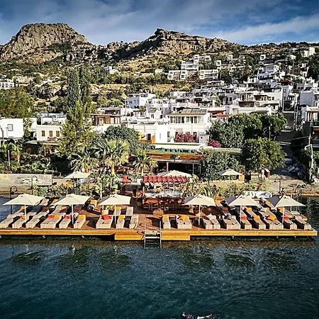 Hotel Galen & 3*