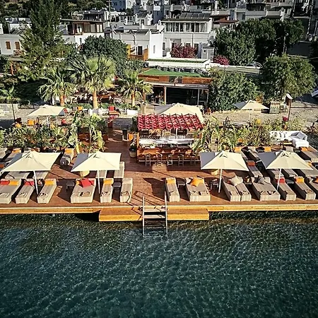 Galen & Hotel