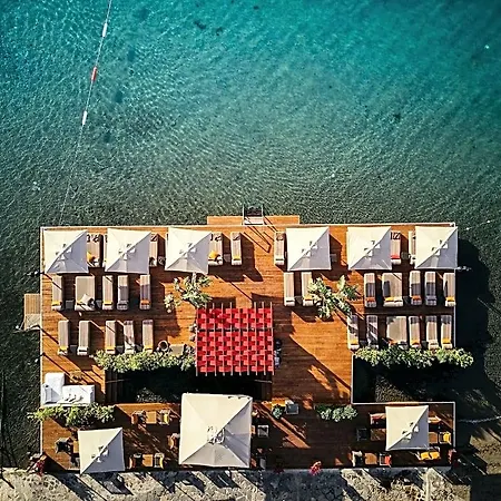 Hotel Galen & 3*